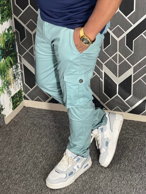 IMG_6024 Premium Casual Twill Cargo Pant Paste (AC-508)