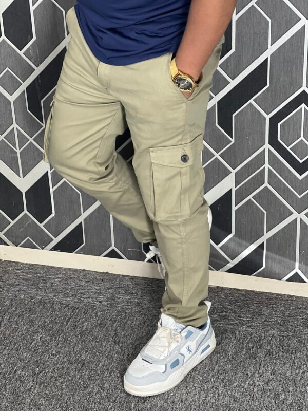 IMG_6063 Premium Casual Twill Cargo Pant Biscuit (AC-502)